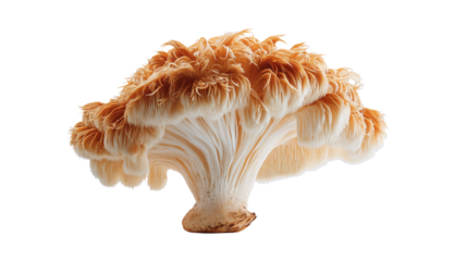 A close-up photograph of an intricate and unique mushroom