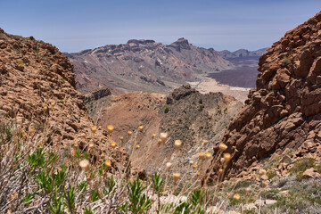 Las Cañadas caldera and trails