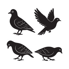Four Silhouette Pigeons in Various Poses Depicted in Black and White Embodying Simplicity Grace and Symbolic Representation of Peace