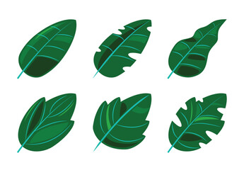 Tropical Green Leaf Icon Set