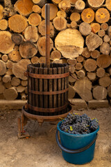 Traditional winemaking process featuring a wooden grape press beside a blue bucket filled with...
