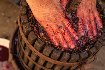 Traditional winemaking process featuring hands pressing grapes in a wooden wine press, showcasing...
