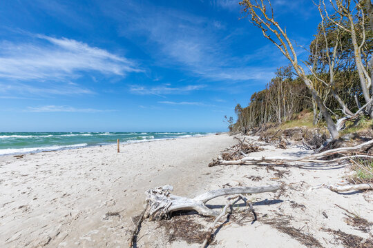 Dar&szlig;er Weststrand.