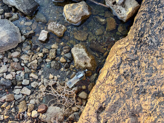 Plastic Bottle Polluting a Natural Rocky Shoreline