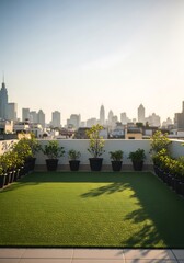 Urban rooftop oasis: Serene garden with a city skyline backdrop basking in sunlight