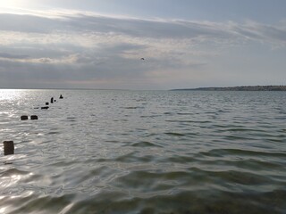 Sunny seascape with gentle waves lapping a sandy shore, distant reeds on the horizon, and...