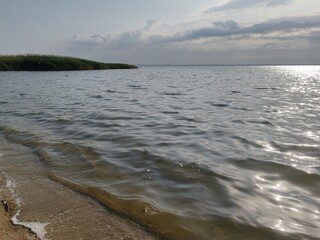 Sunny seascape with gentle waves lapping a sandy shore, distant reeds on the horizon, and shimmering reflections dancing on the water under a bright sky.