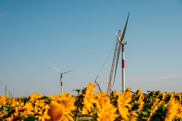 wind turbines in the wind park under construction in the Samara region in the sunflower field