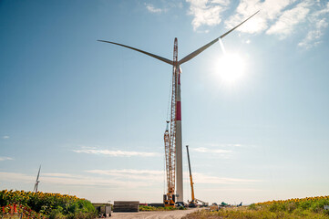 wind turbines in the wind park under construction in the Samara region in the sunflower field