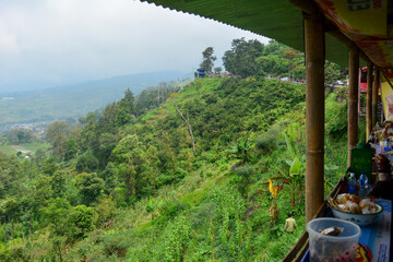 A wooden balcony, showcasing a panoramic view of a steep, green hillside covered in dense foliage,...