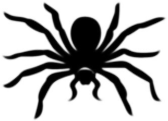 Obraz premium Silhouette of spider with detailed legs and body creating a striking pattern