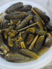 Fermented pickles dance in murky brine, evoking autumnal cucumber revelries, probiotic rituals, and quirky Dill Appreciation Day