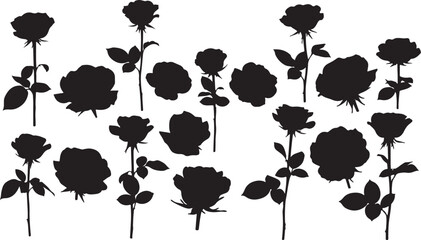 rose silhouette