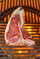 Sizzling marbled T-bone steak smolders over open flame, embodying savory indulgence, primal...