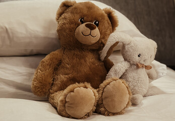 Two soft plush toys — a brown teddy bear and a white bunny with a bow — are sitting side by...