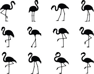 Flamingo silhouette collection, tropical bird poses, standing flamingo, walking flamingo, wading bird, exotic wildlife, perfect for summer, nature, beach, and tropical designs