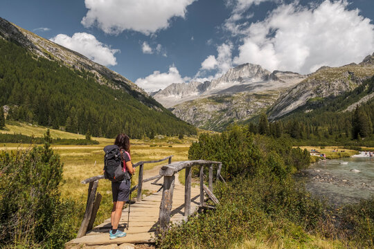A hiker with a backpack stands on a wooden bridge, gazing at a mountain valley. Val di Fumo, Chiese river, Carr&egrave; Alto, Trentino. The hiker is enjoying the scenic view of the Italian Alps.
