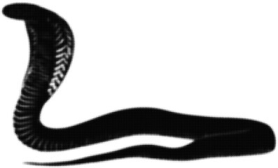 Silhouette of a cobra with raised hood in black and white halftone style