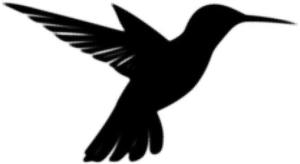 Obraz premium Silhouette of a hummingbird in flight with wings fully spread