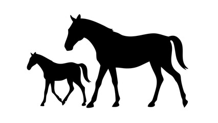 Silhouette of a mare and foal walking side by side in a field with a plain white background scene here