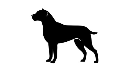 Silhouette of a standing cane corso dog with a muscular build and short tail in a side profile view
