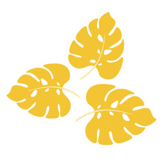 Three Yellow Monstera Leaf Tropical Plant Illustration