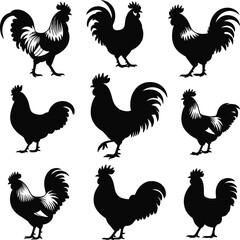 Rooster silhouette vector set, farm chicken animal illustration, black poultry bird graphic, walking rooster pose, isolated livestock icon design.
