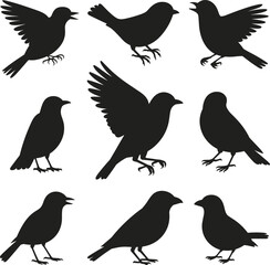 Set of small bird silhouettes in various poses, flying and standing, perfect for vector art, nature, wildlife, and decoration use