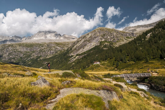 A hiker stands on a rocky outcrop overlooking a mountain valley with a river and bridge. Val di Fumo, Chiese river, Carr&egrave; Alto, Trentino.