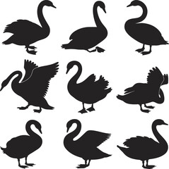 Swan silhouette grid, black bird poses, elegant waterfowl shapes, graceful animal movement, flying swimming standing swans, vector design collection