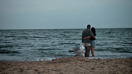 Romantic Couple Embracing by the Sea with Seagull in Foreground
