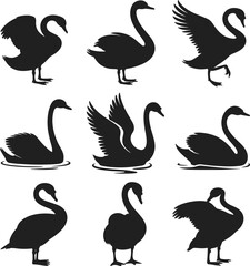 Swan silhouette set, black bird poses, flying swimming standing swans, graceful waterfowl vector, elegant animal movement, posture variation illustration