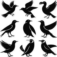Vector collection of black bird silhouettes in flying and standing poses, tropical and wild birds illustration for design, decoration, and prints