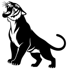 Obraz premium Tiger walking in forest with tiger drinking water and climbing trees slowly