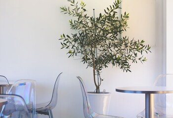 실내 인테리어 와 화분