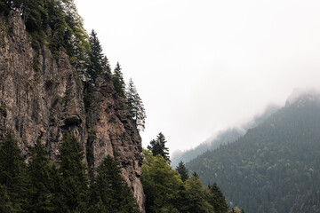 Cliffs with pine trees and forest covered misty mountains in the background