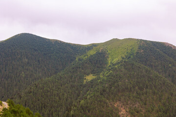 Forest covered mountains with overcast sky