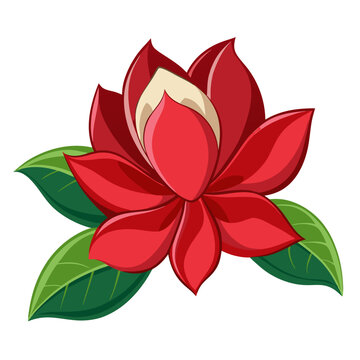 mangolia holland red flower  vector on-white