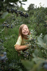 a child is sitting in a large blueberry bush and laughing
