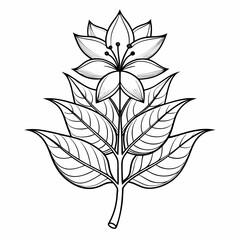 mina lobata flower line art on white background