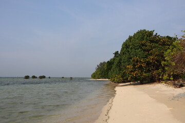 tropical beach stretches along calm, clear waters under a bright, clear sky. 