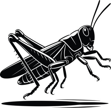 black grasshopper insect side view clip art preview