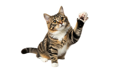Photo of a playful tabby kitten sits with its paw raised in a greeting gesture, isolated on a transparent background