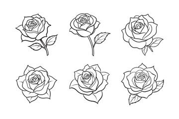 line art delicate rose bud with curved leaf set bundle on white background