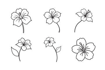 line art hibiscus bloom with detailed petal veins set bundle on the white background