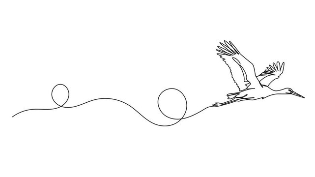 animated continuous single line drawing of flying stork, line art animation