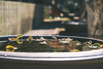 水間寺、歴史あるお寺の風景、大阪、日本