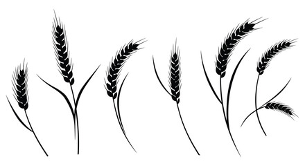 Collection of detailed black wheat stalks and ears of grain in a stylized silhouette against a white background. vector design. Silhouette vector design illustration
