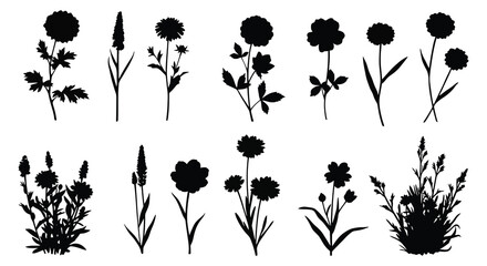 Collection of various botanical wildflower silhouettes on a white background. vector design. Silhouette vector design illustration
