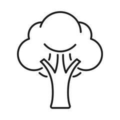   broccoli vegetable line vector icon